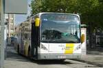 Van Hool New A 360 De Lijn Gent/Belgien September 2026