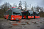 Hier stehen drei Busse der Deutschen Bahn.