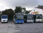 Iveco Daily mit TS-Aufbau und Iveco Crossway und MAN Lion's Classic der MVVG in Woldegk am 07.10.2020