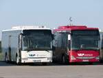 Irisbus Crossway und Iveco Crossway der Verkehrsgesellschaft Ludwigslust-Parchim mbH in Plau am See am 22.09.2024