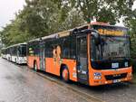 Iveco Crossway LE und MAN Lion's City LE � der MVVG in Malchow am 24.09.2024