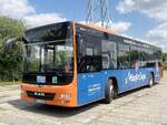 MAN Lion's City LE � der MVVG in Neubrandenburg am 19.07.2024