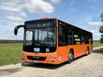 MAN Lion's City LE � der MVVG in Schwenzin am 29.07.2024