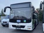 MAN Lion's City LE � der MVVG in Waren am 01.08.2024