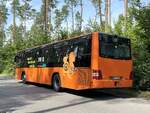 MAN Lion's City LE � der MVVG in Plau am See am 01.08.2024