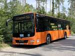 MAN Lion's City LE � der MVVG in Plau am See am 01.08.2024