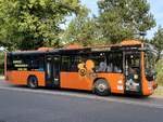 MAN Lion's City LE � der MVVG in Plau am See am 01.08.2024