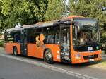 MAN Lion's City LE � der MVVG in Plau am See am 01.08.2024
