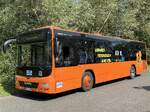 MAN Lion's City LE � der MVVG in Plau am See am 04.09.2024