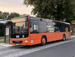 MAN Lion's City LE � der MVVG in Plau am See am 18.09.2024