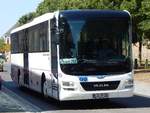 MAN Lion's Intercity von Omnibus Pasternak aus Deutschland in Anklam am 03.08.2018