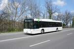 Bus Aue / Bus Erzgebirge: MAN NÜ (ERZ-VB 723) der RVE (Regionalverkehr Erzgebirge GmbH), aufgenommen im April 2022 im Stadtgebiet von Aue (Sachsen).