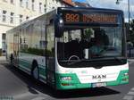 MAN Lion's City der Barnimer Busgesellschaft in Eberswalde am 09.06.2016