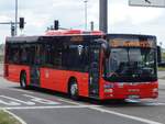 MAN Lion's City von Friedrich Müller Omnibusunternehmen aus Deutschland in Stuttgart am 22.06.2018