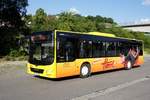 Bus Aue / Bus Erzgebirge: MAN Lion's City Ü der Fahrschule Herrl (Verkehrsbildungszentrum Erzgebirge), aufgenommen im Juni 2020 am Bahnhof von Aue (Sachsen).