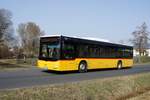 Bus Rheinland-Pfalz / Bus Dierdorf: MAN Lion's City Ü (MYK-FB 207) vom Verkehrsunternehmen FriBus, aufgenommen im März 2021 im Stadtgebiet von Dierdorf (Landkreis Neuwied).