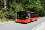 Bus Erzgebirge: MAN Lion's City Ü (ANA-UU 99) vom Busbetrieb A. Sachs aus Geyer / Erzgebirge, aufgenommen im August 2023 in Waschleithe, einem Ortsteil der Stadt Grünhain-Beierfeld.