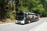 Bus Erzgebirge: MAN Lion's City Ü (ERZ-RV 144) der RVE (Regionalverkehr Erzgebirge GmbH), aufgenommen im August 2023 in Waschleithe, einem Ortsteil der Stadt Grünhain-Beierfeld.