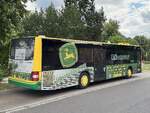 MAN Lion's City der Verkehrsgesellschaft Ludwigslust-Parchim mbH in Plau am See am 23.07.2024