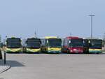 MAN Lion's City und Iveco Crossway und Setra 415 NF der Verkehrsgesellschaft Ludwigslust-Parchim mbH in Plau am See am 07.08.2024