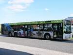MAN Lion's City der VVR in Sassnitz am 11.08.2024