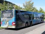 MAN Lion's City der VVR in Sassnitz am 11.08.2024