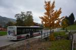 A-RV 564 steht am 11.10.2015 an der Alpsee Bergwelt (Immenstadt im Allgäu).