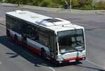 19.04.2019 | Berlin - Marienfelde | OHV-VB 96 | Mercedes Benz Citaro I Ü | 