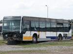 Mercedes Citaro I in Goldenst�dt am 04.08.2024
