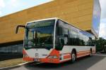 Mercedes Citaro   PVG Burgenlandkreis , Pendelbus vor der  Arche Nebra  am Fundort der Himmelsscheibe von Nebra, Sachsen-Anhalt, 12.06.2011