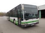 Mercedes-Benz O 530  - PM E 238 der VGBelzig in Bad Belzig am 25.04.13