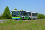29.04.2018 | Brandenburg - Schönefeld (ILA) | Mercedes Benz Citaro I Facelift GÜ | regiobus Potsdam Mittelmark GmbH | PM-RB 162 |