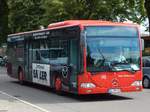 Mercedes Citaro I von Omnibus Pitz aus Deutschland (ex BRN Ludwigshafen LU-ET 891) in Ulm am 19.06.2018