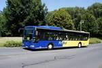 Bus Rheinland-Pfalz / Bus Dierdorf: Mercedes-Benz Citaro MÜ (WW-OJ 109) vom Busunternehmen Jörg Orthen GmbH (im Auftrag des Verkehrsunternehmens FriBus), aufgenommen im Juni 2020 im