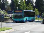 Walserbus Mercedes Benz Citaro C1 Facelfit Ü am 08.08.14 das Söllereck bei Oberstdorft 