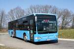 Bus Rheinland-Pfalz / Verkehrsverbund Rhein-Neckar: Mercedes-Benz Citaro Facelift Ü (KL-GV 222) vom Omnibusbetrieb Vicari GmbH, aufgenommen im März 2022 in Sembach, einer Ortsgemeinde im