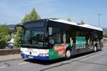 Bus Miltenberg / Bus Unterfranken: Mercedes-Benz Citaro LE Ü der Ehrlich Touristik GmbH & Co. KG, aufgenommen im Juli 2019 im Stadtgebiet von Miltenberg (Bayern).