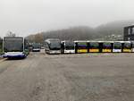 Diverse neue MB C2 für die TPL, Autolinee Bleniesi, PostAuto und Limmat Bus am 11.11.20 bei Evobus in Winterthur.