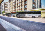 Zwei Irisbus Crossway und ein SETRA 415 NF der SAD, sowie ein SETRA S 315 UL von MAHLKNECHT stehen am 25.8.2017 in Bolzano, Autostazione/Bozen, Busbahnhof.