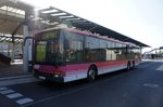 Bus Aschaffenburg / Verkehrsgemeinschaft am Bayerischen Untermain (VAB): Setra S 319 NF vom Omnibusverkehr Franken GmbH (OVF) / Frankenbus, aufgenommen im September 2016 in der Nhe vom Hauptbahnhof