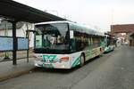 Die neue RMV Schnellbuslinie X95 von Büdingen über Erlensee direkt nach Frankfurt Enkheim am 15.12.21 in Enkheim.