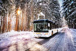 Ein SETRA S 415 NF von Siebler Reisen, durchfährt den winterlich verschneiten Wald, nahe der Haltestelle Berg im Drautal Lassin.