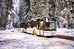 Ein SETRA S 415 NF von Siebler Reisen, durchfährt den winterlich verschneiten Wald, nahe der Haltestelle Berg im Drautal Lassin.
