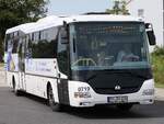 SOR CN12 von ARGE Prignitzbus in Pritzwalk am 08.08.2024
