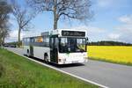 Bus Schwarzenberg / Bus Grünhain-Beierfeld / Bus Erzgebirge: MAN EL (ASZ-BV 45) der RVE (Regionalverkehr Erzgebirge GmbH), aufgenommen im Mai 2021 im Stadtgebiet von Grünhain-Beierfeld.