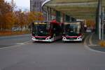 BSVG MAN Lions City Wagen 2303 und 2030 am 13.11.25 in Braunschweig Hauptbahnhof