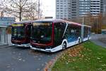 BSVG MAN eLions City Wagen 2529 und 2525 am 13.11.25 in Braunschweig Hauptbahnhof