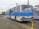 Gelenkomnibus Ikarus 280 der  Cottbusverkehr , Nr. 131 aus Cottbus (CB) anläßlich 130 Jahre Strba in Rostock [27.08.2011]
 
