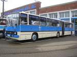 Gelenkomnibus Ikarus 280 der  Cottbusverkehr , Nr. 131 aus Cottbus (CB) anläßlich 130 Jahre Strba in Rostock [27.08.2011]
