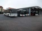 Ein kleiner Teil von Rügen`s Busflotte am 19.Januar 2011 bei der Frühstückspause am Busbahnhof in Bergen/Rügen.